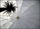 Galerias Dome