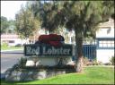 04nov2006-red_lobster.jpg