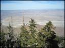 05nov2006-desert_sentinals.jpg